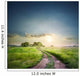 Rural road in field with green grass Wall Decal