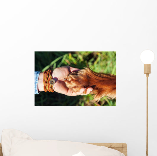 Human hand holding dog's paw Wall Decal