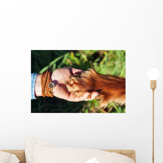 Human hand holding dog's paw Wall Decal