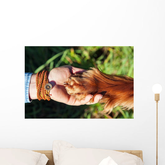 Human hand holding dog's paw Wall Decal