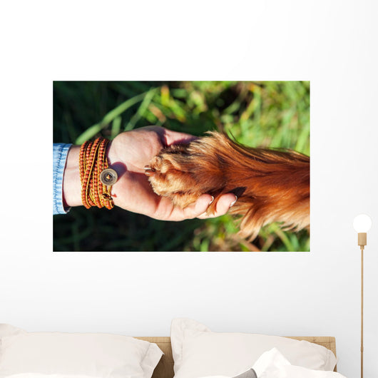 Human hand holding dog's paw Wall Decal