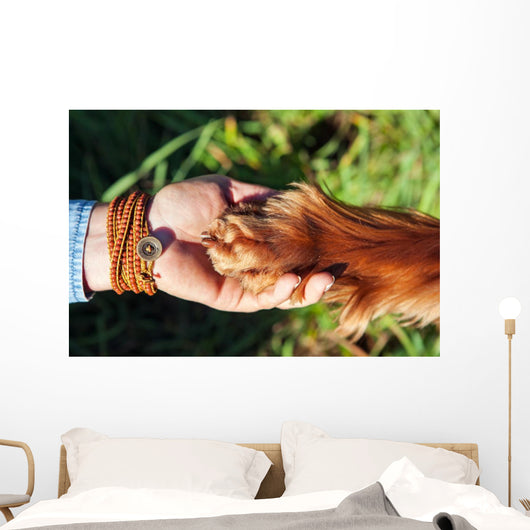 Human hand holding dog's paw Wall Decal