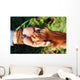 Human hand holding dog's paw Wall Decal