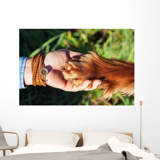 Human hand holding dog's paw Wall Decal