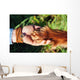 Human hand holding dog's paw Wall Decal