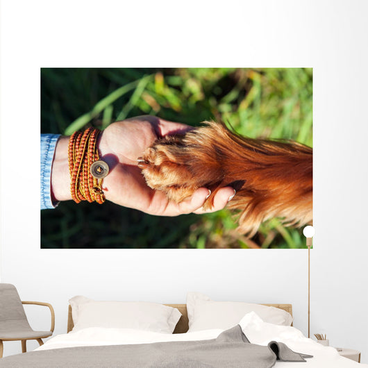 Human hand holding dog's paw Wall Decal