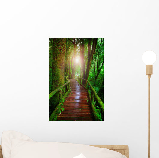 wood ways in mountain rain forest Doi Inthanont National Park Ch Wall Decal