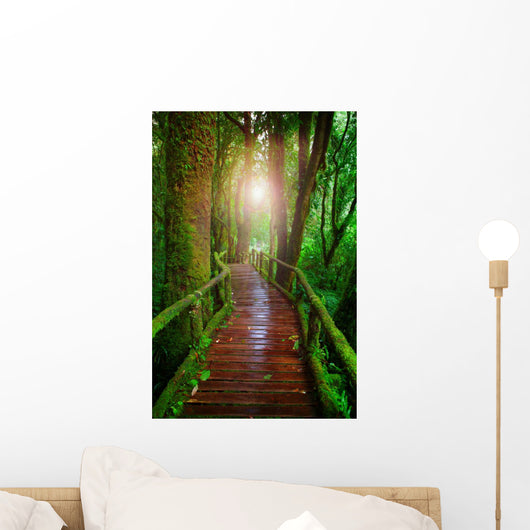 wood ways in mountain rain forest Doi Inthanont National Park Ch Wall Decal