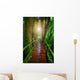 wood ways in mountain rain forest Doi Inthanont National Park Ch Wall Decal