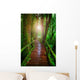 wood ways in mountain rain forest Doi Inthanont National Park Ch Wall Decal