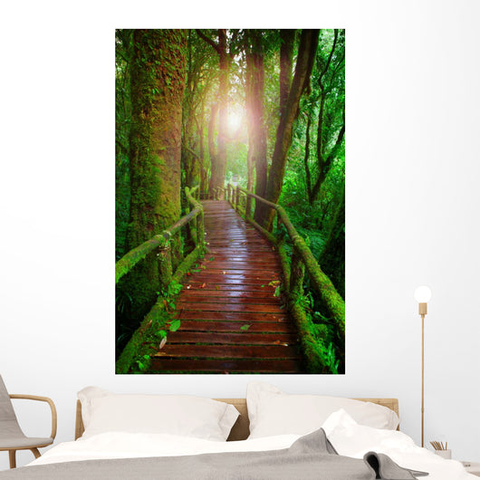 wood ways in mountain rain forest Doi Inthanont National Park Ch Wall Decal