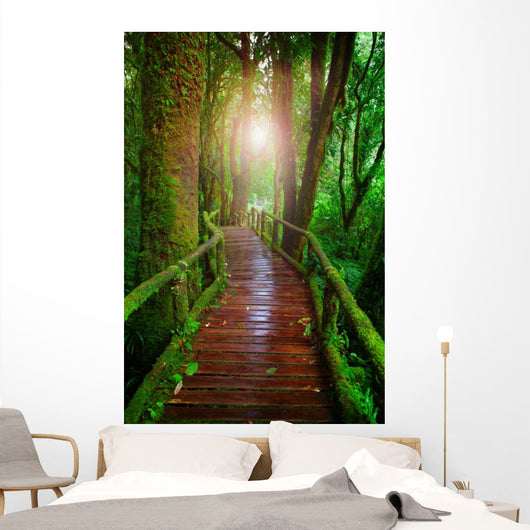 wood ways in mountain rain forest Doi Inthanont National Park Ch Wall Decal