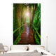 wood ways in mountain rain forest Doi Inthanont National Park Ch Wall Decal