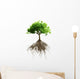 tree with roots Wall Decal