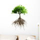 tree with roots Wall Decal