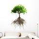 tree with roots Wall Decal