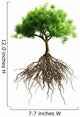 tree with roots Wall Decal