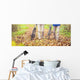 Active seniors walking with bike Wall Decal
