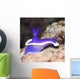 Nudibranch Wall Decal
