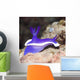 Nudibranch Wall Decal