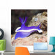 Nudibranch Wall Decal