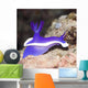 Nudibranch Wall Decal