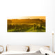 Vineyard Sunrise - Bordeaux Vineyard Wall Decal