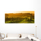 Vineyard Sunrise - Bordeaux Vineyard Wall Decal