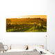 Vineyard Sunrise - Bordeaux Vineyard Wall Decal
