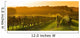 Vineyard Sunrise - Bordeaux Vineyard Wall Decal