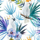 Watercolor Jungle Cockatoo Wall Decal