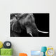 Elephant up Low Key Wall Decal