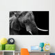 Elephant up Low Key Wall Decal