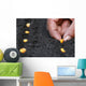 Planting green corn seeds Wall Decal