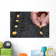 Planting green corn seeds Wall Decal