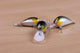 Fishing bait Wall Decal