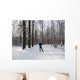 Cross-country skiing Wall Decal