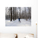 Cross-country skiing Wall Decal