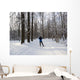 Cross-country skiing Wall Decal