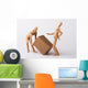 Bandscheibenvorfall, Arbeitsunfall Wall Decal