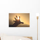 Trying to grab the sun Wall Decal