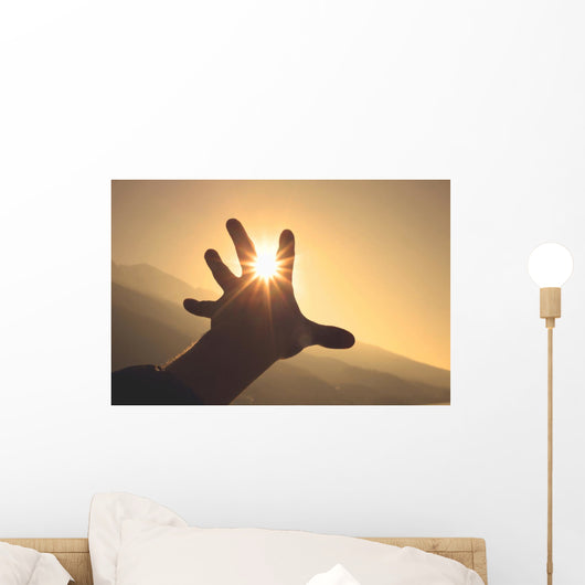Trying to grab the sun Wall Decal