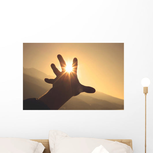 Trying to grab the sun Wall Decal