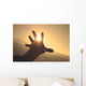 Trying to grab the sun Wall Decal
