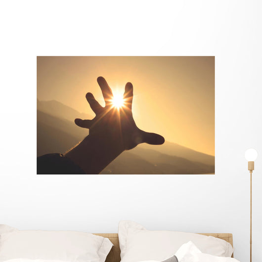 Trying to grab the sun Wall Decal