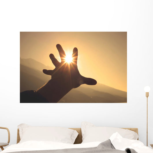 Trying to grab the sun Wall Decal