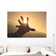 Trying to grab the sun Wall Decal