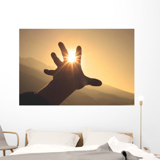 Trying to grab the sun Wall Decal
