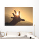 Trying to grab the sun Wall Decal