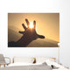 Trying to grab the sun Wall Decal